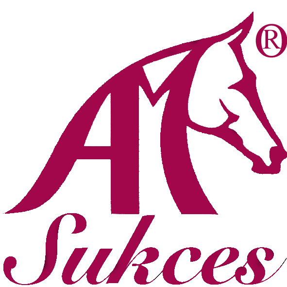 Logo-sukces-K-